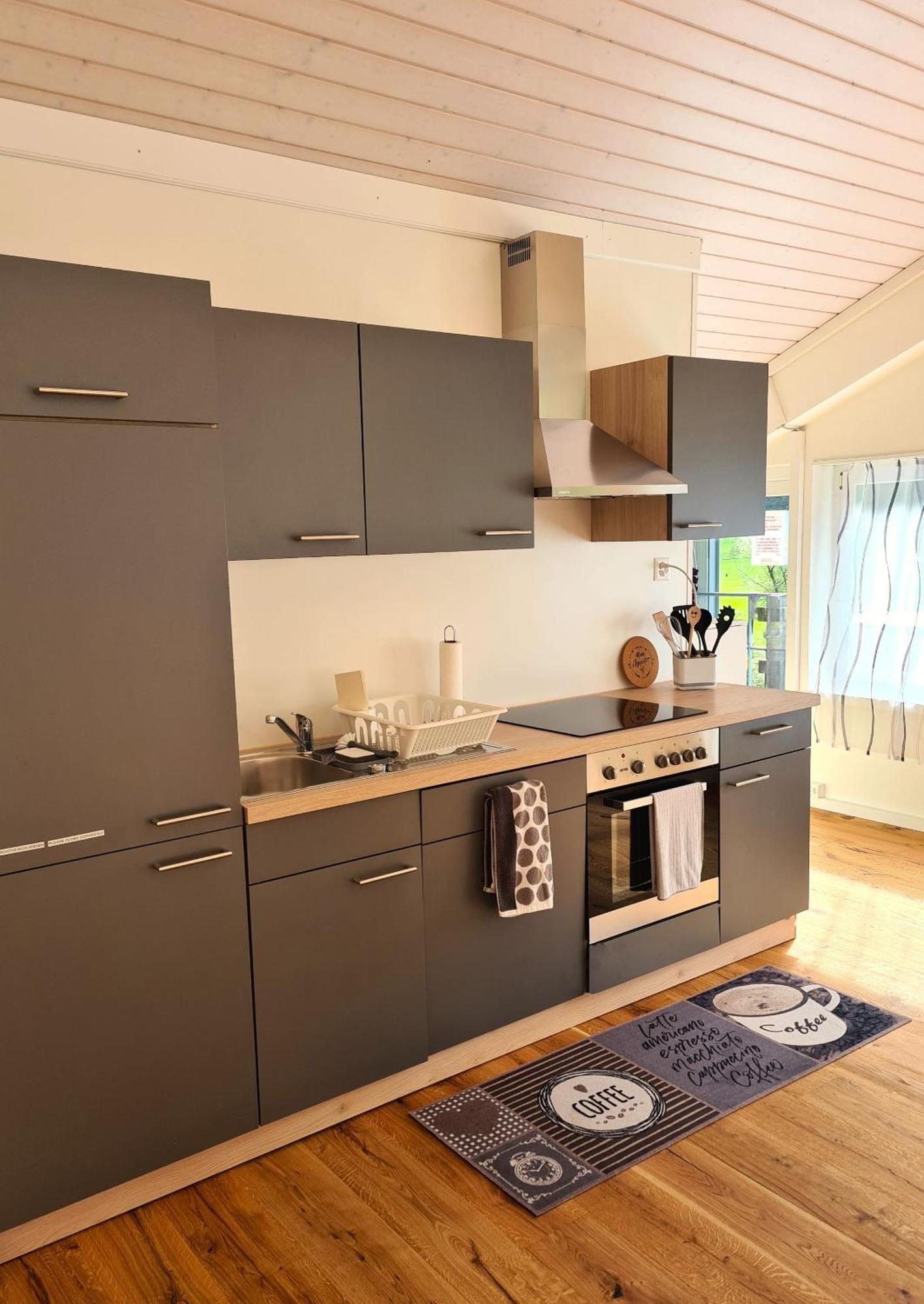 Muota River Loft & Muota Industry Apartment Near Stoos Muotathal Exteriér fotografie